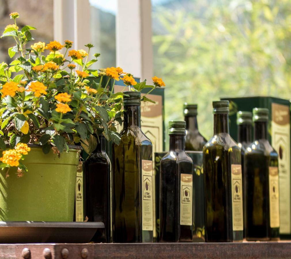 Agriturismo Terre Degli Angeli 피에트라리구레 외부 사진